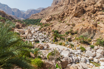 Creek in Wadi Tiwi valley, Oman