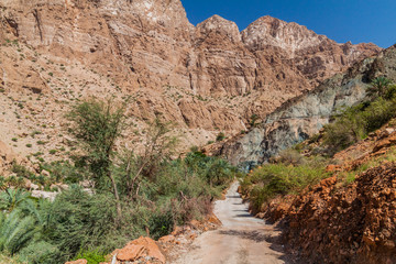 Road in Wadi Tiwi valley, Oman