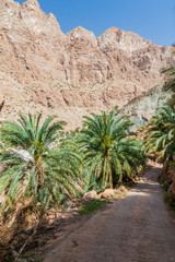 Fototapeta na wymiar Road in Wadi Tiwi valley, Oman