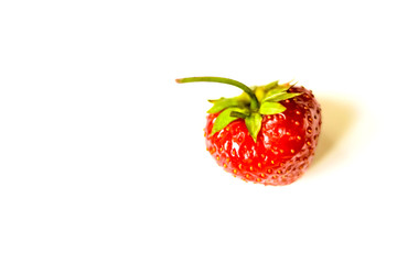 Red strawberry on white background view. Selective soft focus. Text copy space.