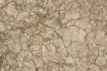 Cracked Soil texture and background of ground earth background