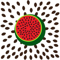 sliced ​​red ripe watermelon with black seeds on a white background vector