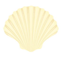 Seashell bright cartoon. Colorful shellfish symbol, scallop Shell isolated on white background. Vector illustration