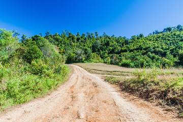 Fototapeta na wymiar Rural road near Kalaw town, Myanmar