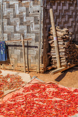 Drying chilli peppers in a village in the area between Kalaw and Inle, Myanmar