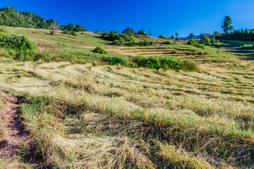 Rural landscape in the area between Kalaw and Inle, Myanmar