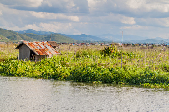 Floating gardens at Inle lake, Myanmar