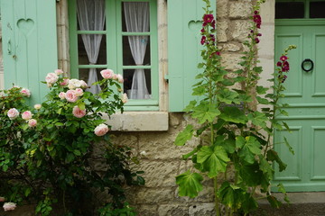 Fototapeta na wymiar pink roses and hollyhock by a house