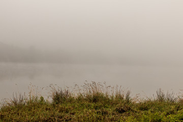 Obraz na płótnie Canvas foggy morning on the lake
