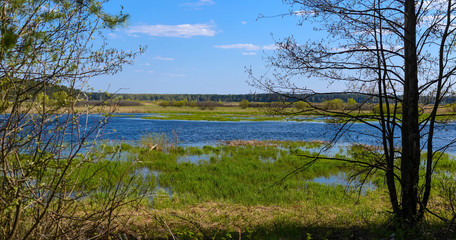 Autumn evening landscape with the river and a beautiful tree