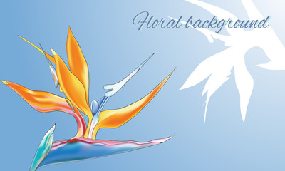 Text frame with a tropical flower Strelitzia reginae. Contour white and orange tropical flower on a blue background. Vector illustration.