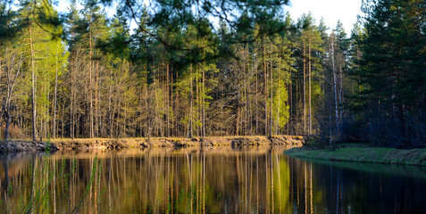 Autumn evening landscape with the river and a beautiful tree