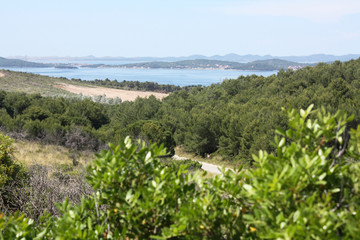 Fototapeta na wymiar Dalmatian landscape with mountains and Adriatic Sea in wild bushes mastic tree.
