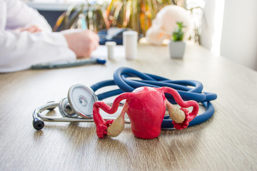 Concept photo of diagnosis and treatment of uterus, female reproductive organs and health. In foreground is model of uterus  near stethoscope on table in background blurred silhouette doctor at table