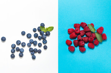 Blueberry, strawberry on white and blue background.