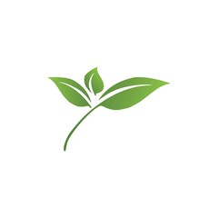 Logos of green Tree leaf ecology