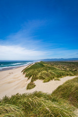 Sand dunes on the Oregon coast, on a sunny summers day