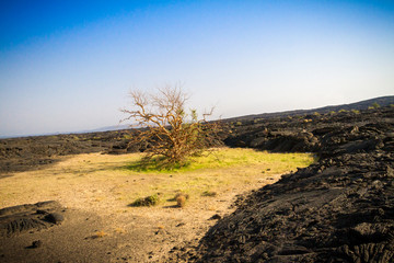 Fototapeta premium Erta Ale volcano and the base camp 