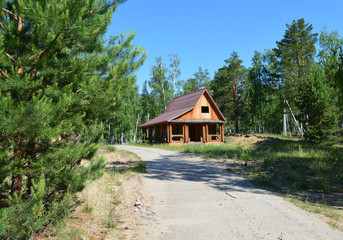 lonely wooden house among the trees of the forest thicket on a Sunny summer day