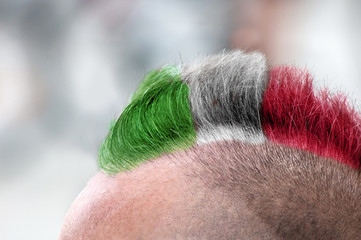 man with Iroquois haircut colored as italian flag, sport supporter, football fan