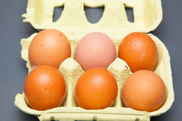 Media docena de huevos frescos de gallina, preparados para ser cocinados de mil maneras distintas.