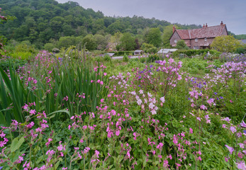 English Country Garden
