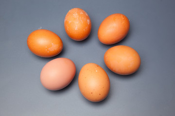 Media docena de huevos frescos de gallina, preparados para ser cocinados de mil maneras distintas.