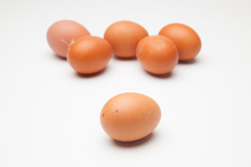 Media docena de huevos frescos de gallina, preparados para ser cocinados de mil maneras distintas.