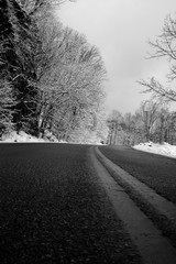 Fototapeta premium Winter Drive