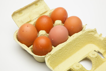 Media docena de huevos frescos de gallina, preparados para ser cocinados de mil maneras distintas.