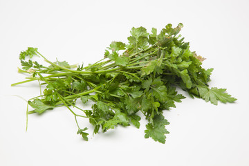 El perejil es una hierba que se utiliza mucho en la cocina, para dar sabor y refrescar los platos.