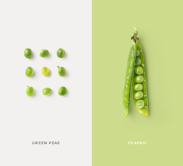 creative food / nutrition / diet concept with fresh green peas in a group and single open pea pod, minimalist colorful graphic layout - 273693772