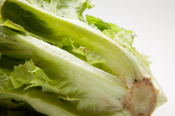 La Lechuga es un alimento que se puede comer en ensaladas acompañada de tomate, pepino, cebolla...