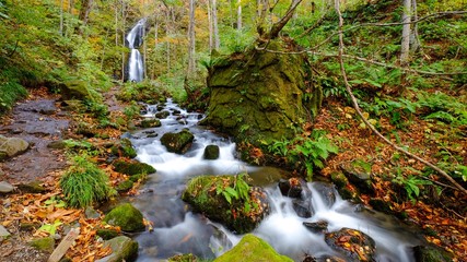 waterfall in forest