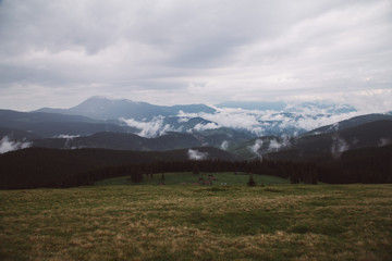 foggy landscape in the wild Carpathian mountains