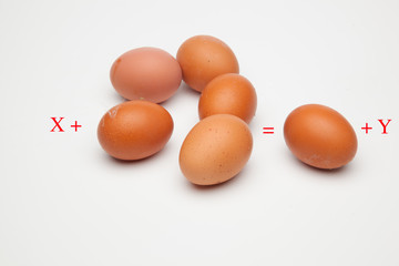 Huevos de gallina, ricos en proteinas, alimento muy completo, tiene mil usos en la cocina, se pueden comer hervidos, fritos, al horno