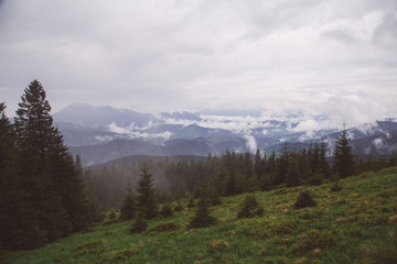 foggy landscape in the wild Carpathian mountains