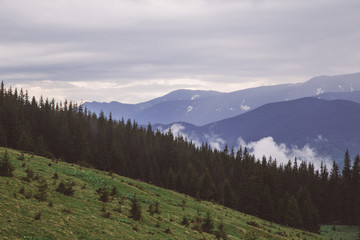 foggy landscape in the wild Carpathian mountains