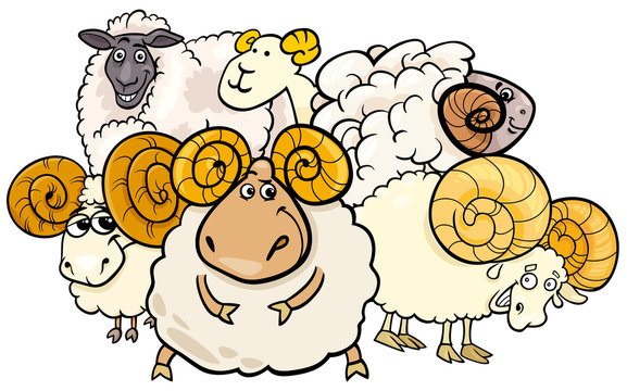 ram and sheep group cartoon illustration