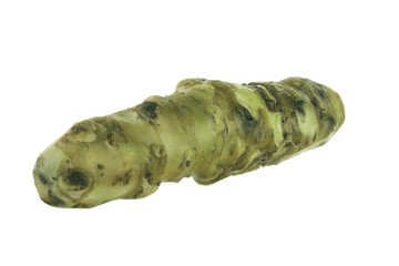 wasabi root isolated on white background