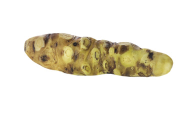 wasabi root isolated on white background