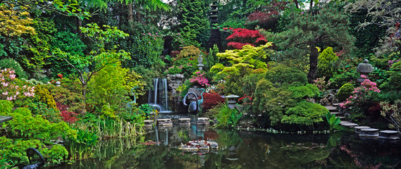 An impressive Japanese water garden with colourful display of Acers and Maples shrubs and plants