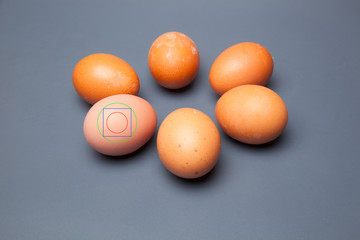 Los huevos de gallina, tienen mil usos en la cocina moderna, son baratos y se encuentran en todos los mercados.