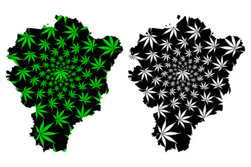 Yaroslavl Oblast (Russia, Subjects of the Russian Federation, Oblasts of Russia) map is designed cannabis leaf green and black, Yaroslavl Oblast map made of marijuana (marihuana,THC) foliage,....