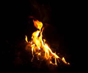 Fire flames on a black background