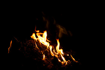 Fire flames on a black background