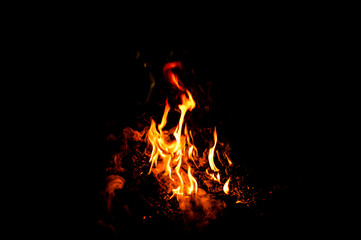 Fire flames on a black background