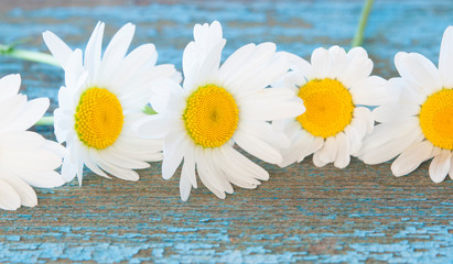 Obraz premium Chamomile flowers on wooden background with copy space