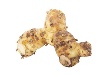 fresh galangal root  isolated on white background