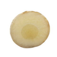 slice of fresh galangal root  isolated on white background. top view